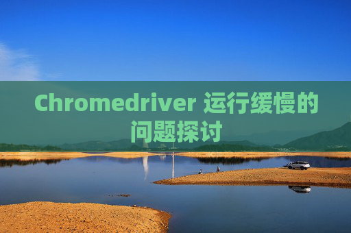 Chromedriver 运行缓慢的问题探讨